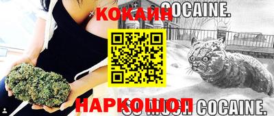 гидра Краснознаменск