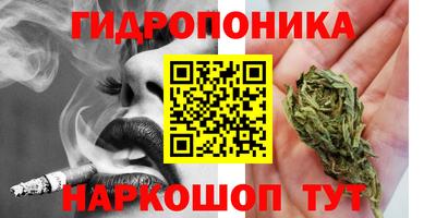 гидра Краснознаменск