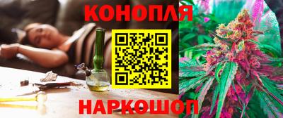 гидра Краснознаменск